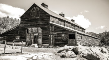 Black and white image of a barn .