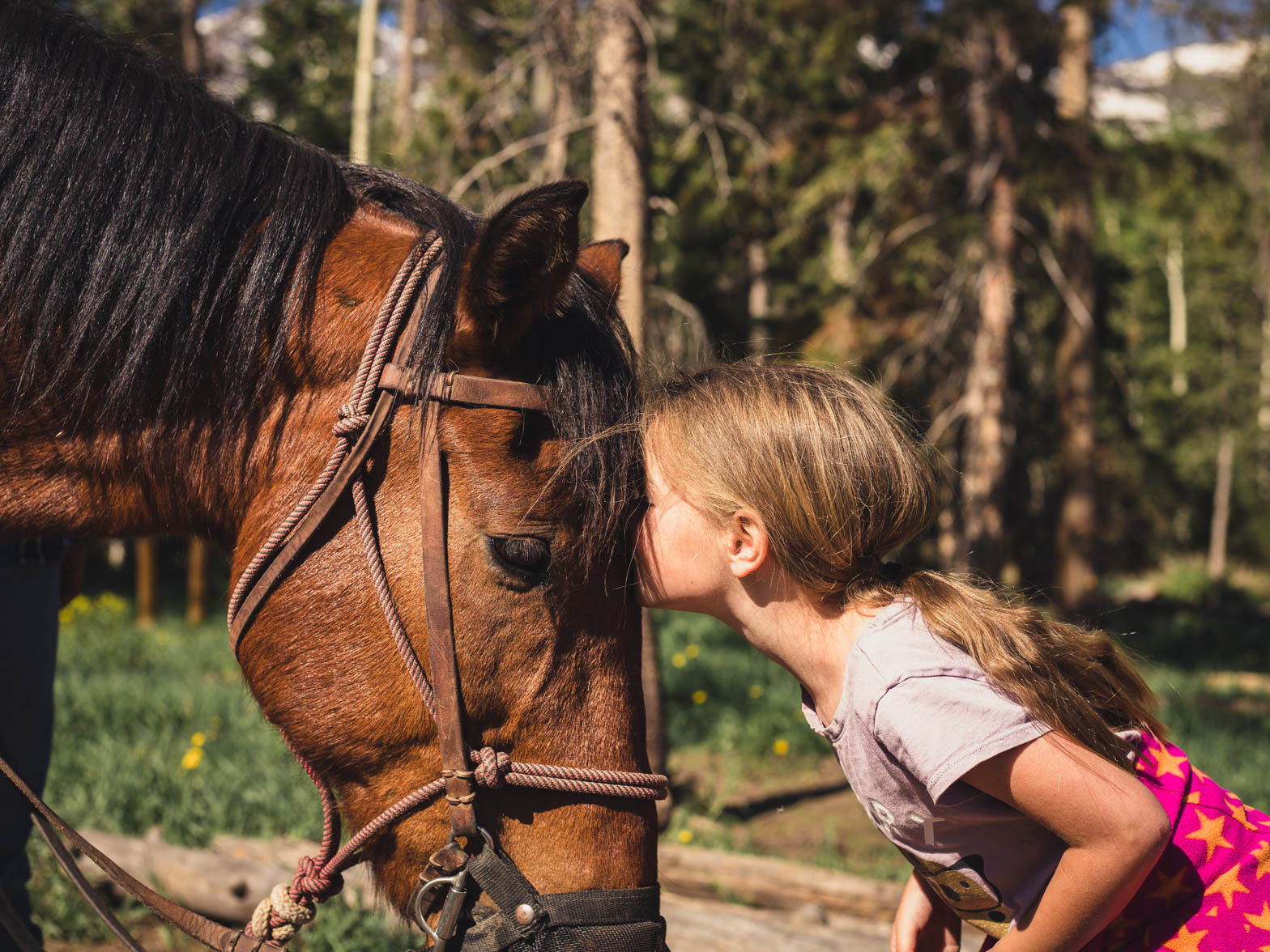 A little girl resting her head on a horse.